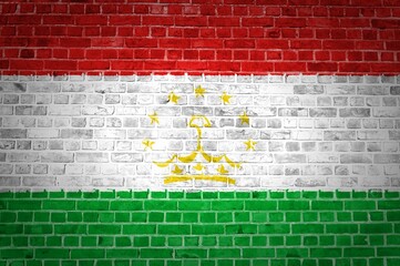 Shot of the Tajikistan flag painted on a brick wall in an urban location