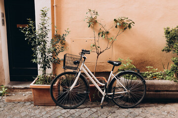Fototapeta na wymiar Bicycle parked on the street in Rome, Italy. Old bike against the orange wall at home. City transport concept. Lush green plants growing in pots near door of house