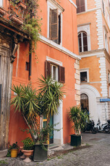 Fototapeta na wymiar Typical street in Rome, Italy. Lush green plants growing in pots near door of house. Plants decorations, old town.