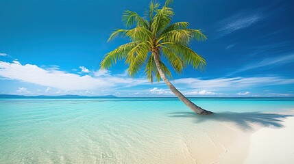 Fototapeta na wymiar Beautiful natural tropical landscape, beach with white sand and Palm tree leaned over calm wave. Turquoise ocean on background blue sky with clouds on sunny summer day, island Maldives