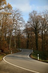 Fototapeta na wymiar Vertical shot of a twisting road through bare forest trees in the fall