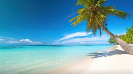 Naklejka na ściany i meble Beautiful natural tropical landscape, beach with white sand and Palm tree leaned over calm wave. Turquoise ocean on background blue sky with clouds on sunny summer day, island Maldives