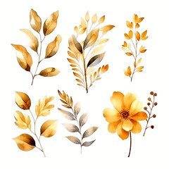 Set of golden floral watecolor. golden flower, golden leaves. Floral poster, invitation floral. Vector arrangements for greeting card or invitation design