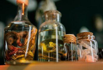 Specimen of snake preserved in solution formaldehyde on dark background. Glass jar with poisonous...