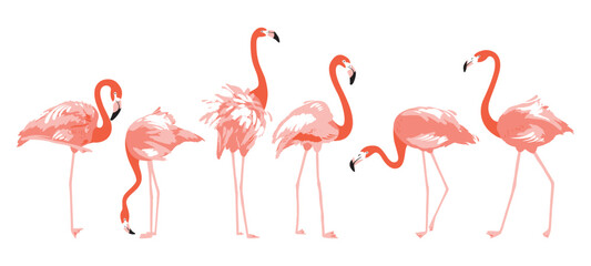 Set of flamingo illustrations in different poses, isolated on the neutral background.