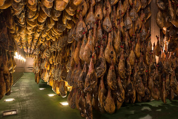 Iberian hams maturing