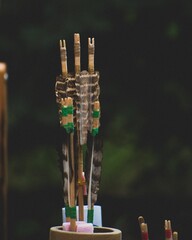 Vertical close-up shot of a quiver of arrows on a green background