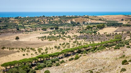 Aerial view of dry hills and trees in Sicily, Italy