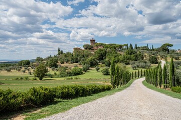 Road leading through the beautiful fields of Tuscany during a sunny day