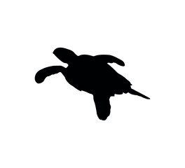 Turtle silhouette on white background