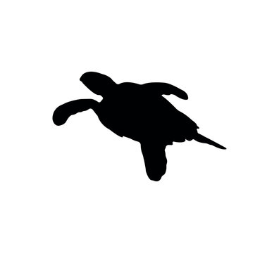 recommend clip art: Turtle silhouette on white background