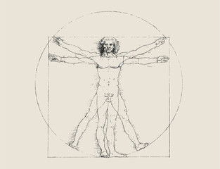 Human proportion sketch Leonardo Da Vinci vector cmyk illustration 