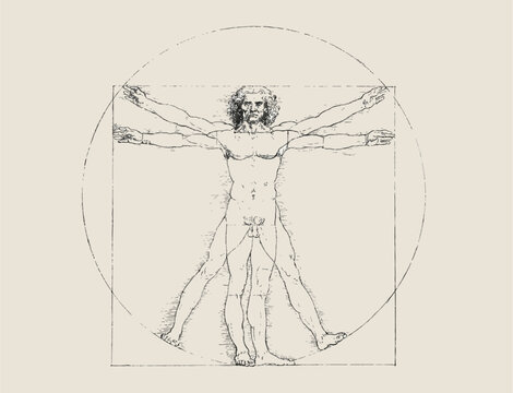 Human proportion sketch Leonardo Da Vinci vector cmyk illustration 