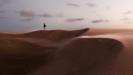 Beautiful scene of a person on Rabjerg Mile sand dunes on the horizon in Skagen, Denmark