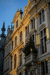 Old building with a Christmas tree in the City of Brussels