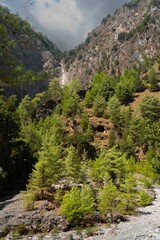 Fototapeta na wymiar Vertical shot of the mountains and small green trees on the rocky, gray ground in a park in Greece