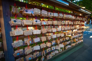 Gordijnen Meiji Shrine Temple, Tokyo, Japan © Kyrenian