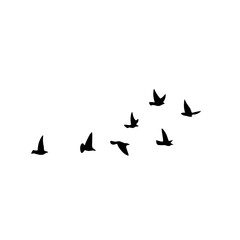 Fototapeta na wymiar Flying bird silhouette 