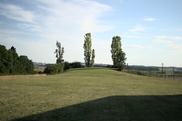 Beautiful landscape in nature with a well-trimmed field of grass and bushy green trees