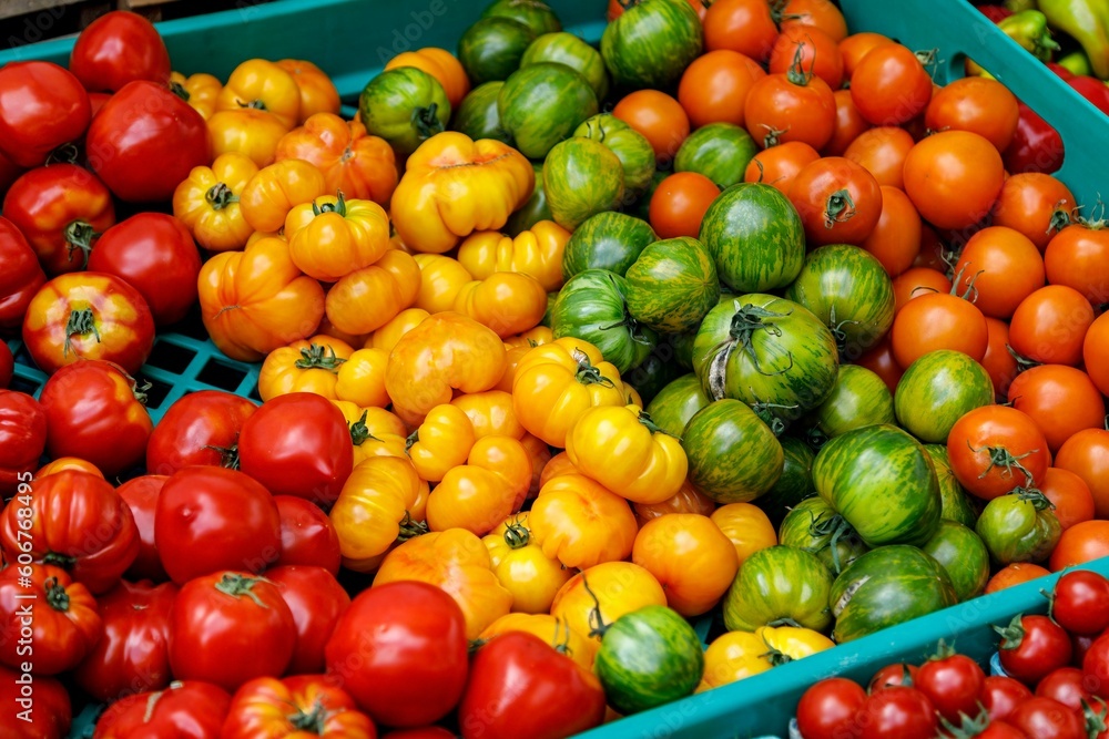 Wall mural Bunch of different colored tomatoes in a box