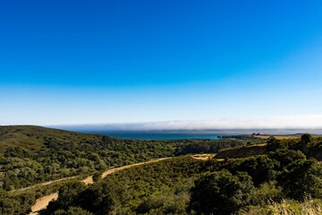 Fototapeta premium Beautiful shot of the Old Coast Road in California