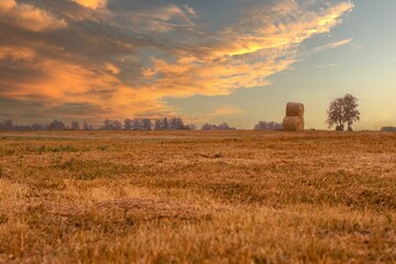 Scenic shot of sunset over an autumn field with dry grass in Lithuania, cool for background