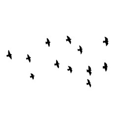 Fototapeta na wymiar Flying Bird Silhouette Vector