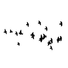 Fototapeta na wymiar Flying Bird Silhouette Vector