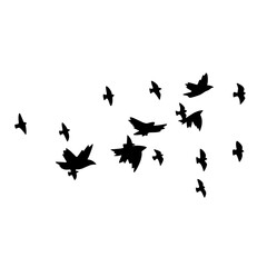 Obraz na płótnie Canvas Flying Bird Silhouette Vector