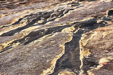 Abstract patterns of lichen and water run-off on granite in Cape Le Grand National Park, Esperance, Western Australia
