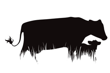 Vector silhouette of mother cow with her calf in farm on white background.