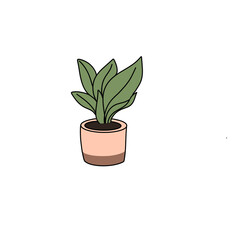 plant in a pot