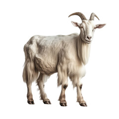 goat on a transparant background, PNG, Generative Ai