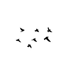 Obraz na płótnie Canvas Flying bird silhouette