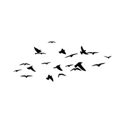 Fototapeta na wymiar Flying bird silhouette