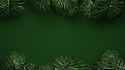 Fototapeta na wymiar 3d render nature monstera leaf tropical on green background