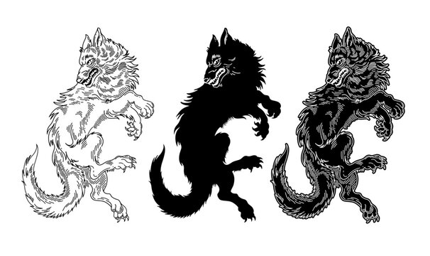 hand drawn line art wolf illustration