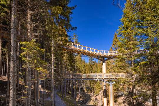 Centrum Przyrodniczo-Edukacyjne Brama w Gorce w Waksmundzie. Drewniana ścieżka pośr&oacute;d koron wysokich drzew.