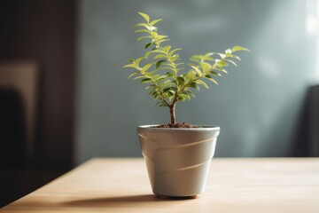 Small plant in a pot, Generative ai