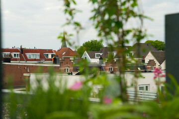 Green rooftop garden with green plants. Green roof in the city of Arnhem for sustainable urban life. Urban greening. Daktuin for a green city.