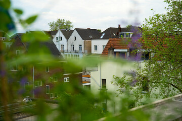 Green rooftop garden with green plants. Green roof in the city of Arnhem for sustainable urban life. Urban greening. Daktuin for a green city.