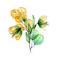 Fototapeta na wymiar watercolor drawing. bouquet, autumn composition of transparent flowers and eucalyptus leaves. yellow and green leaves