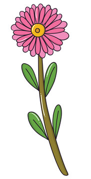 One Light pink daisy flower handdraw illustration