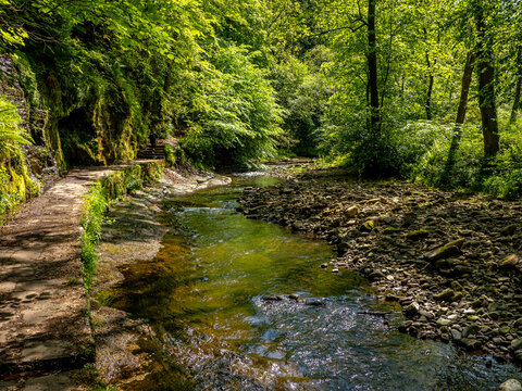 Gelt Woods near Brampton Cumbria in summer sunshine