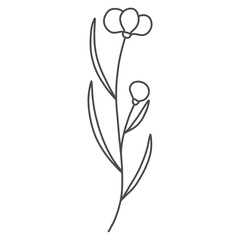 Line art floral 