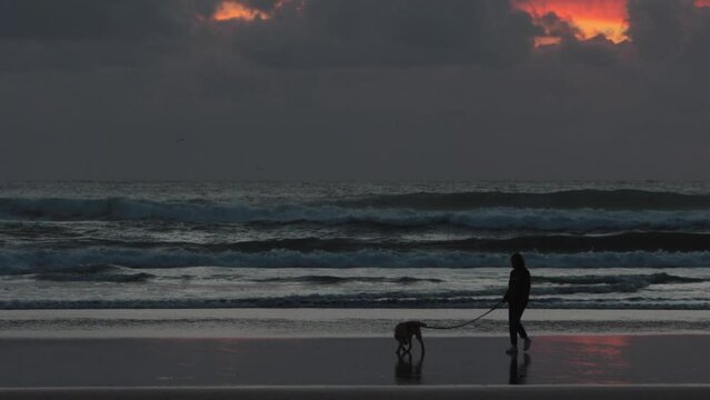 A woman walks a dog on the seashore in gloomy stormy weather