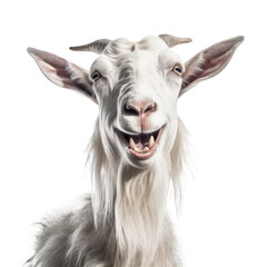 goat with smile face on a transparant background, PNG, Generative Ai