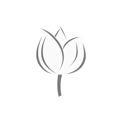 Vector Tulip Flower illustration isolated on a white background.