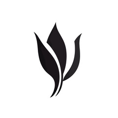 Vector Tulip Flower illustration isolated on a white background.