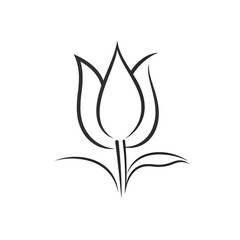 Vector Tulip Flower illustration isolated on a white background.